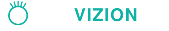 RAYVIZION